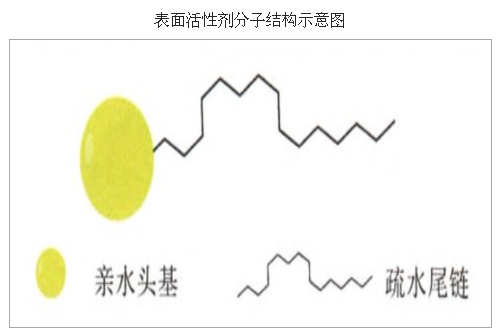 鋅、錳、銅的其他作用插圖1