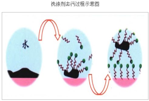 鋅、錳、銅的其他作用插圖